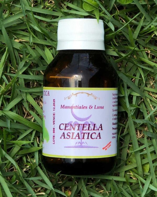 Centella asiática