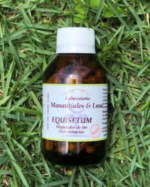 Equisetum (Cola de Caballo)