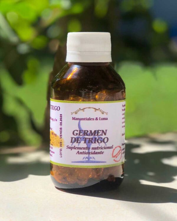 Germen de trigo
