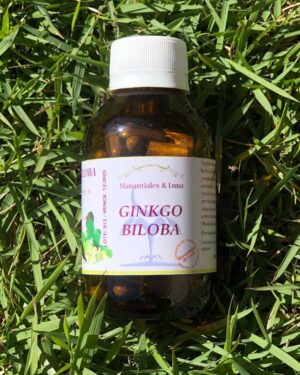 Ginkgo Biloba