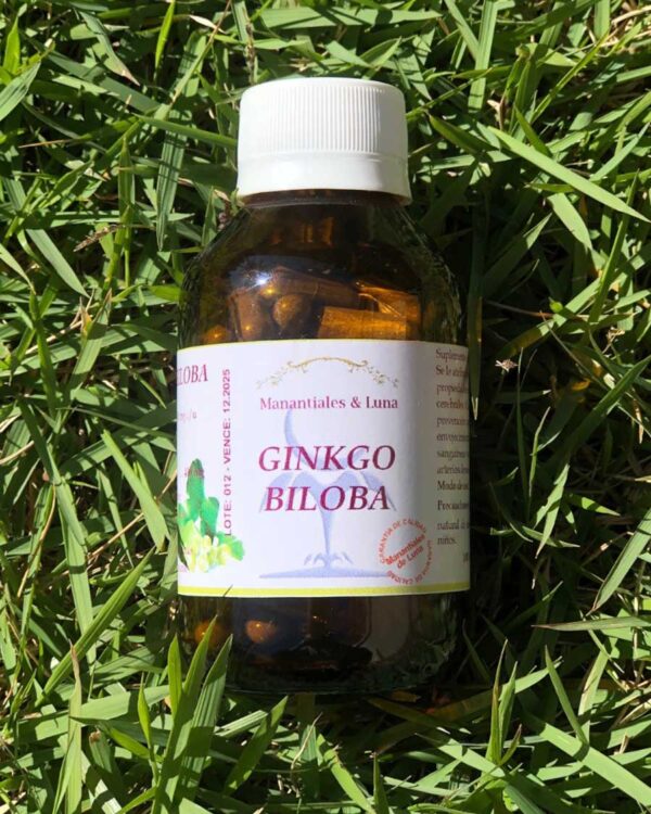 ginko Ginkgo Biloba