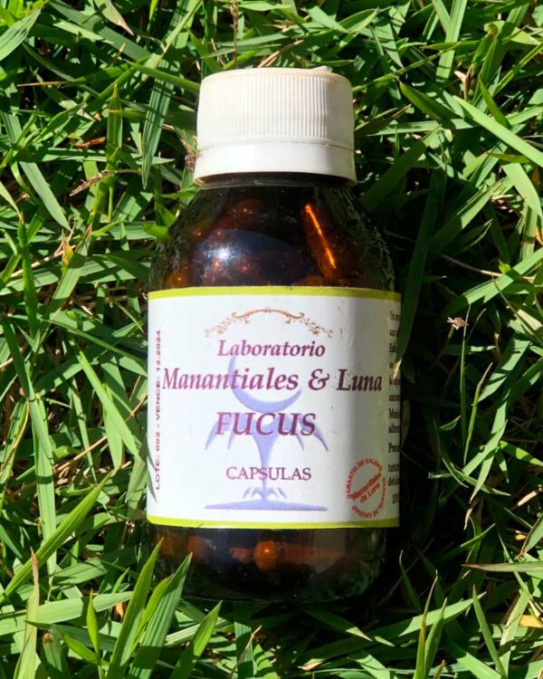 Fucus