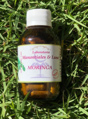 Moringa