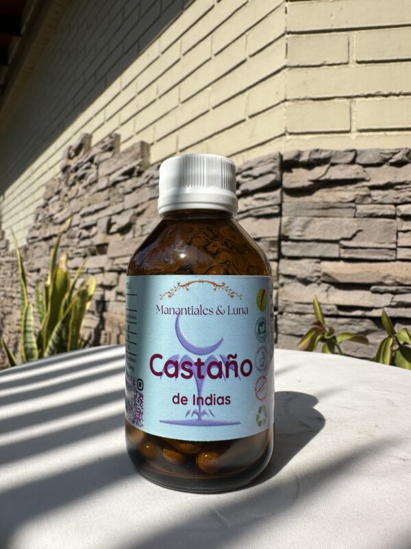 Castaño de indias